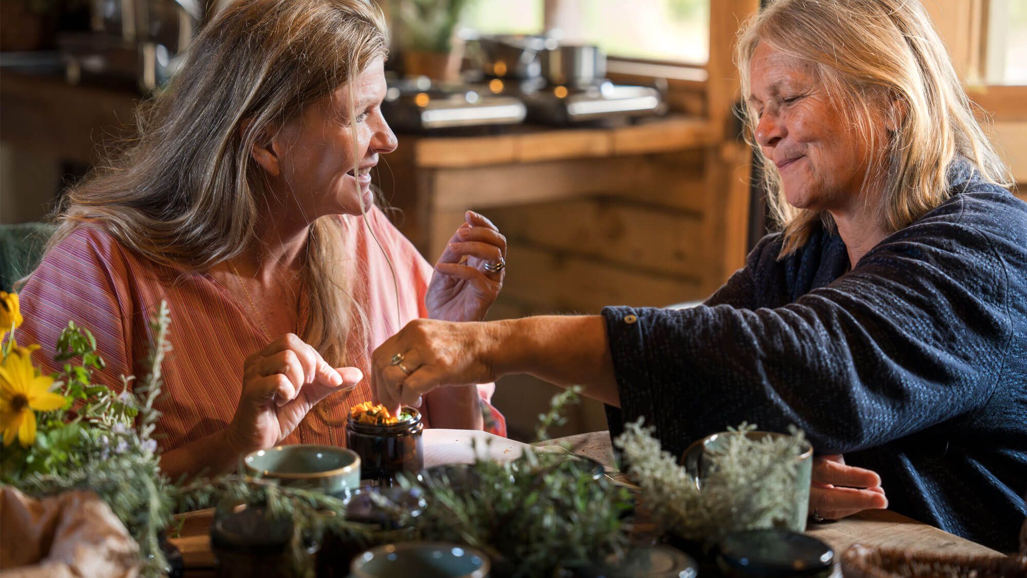 Herbal Treatment for Common Ailments